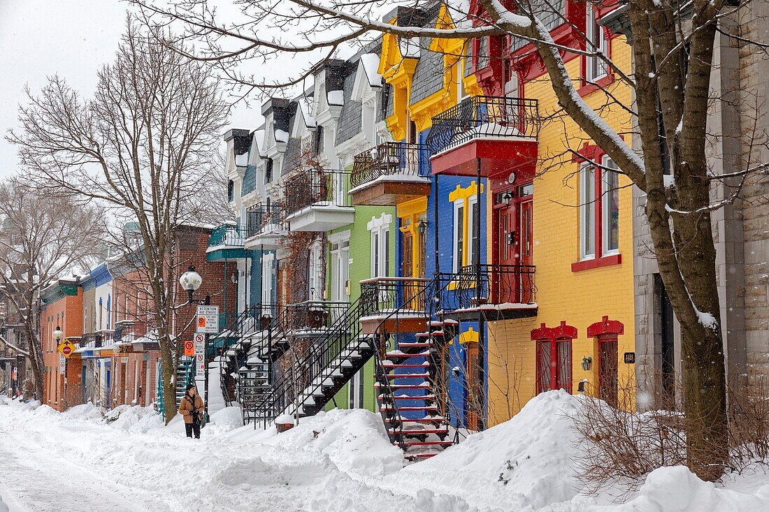 Canada, Quebec province, Montreal, Plateau-Mont-Royal neighborhood after a snowstorm