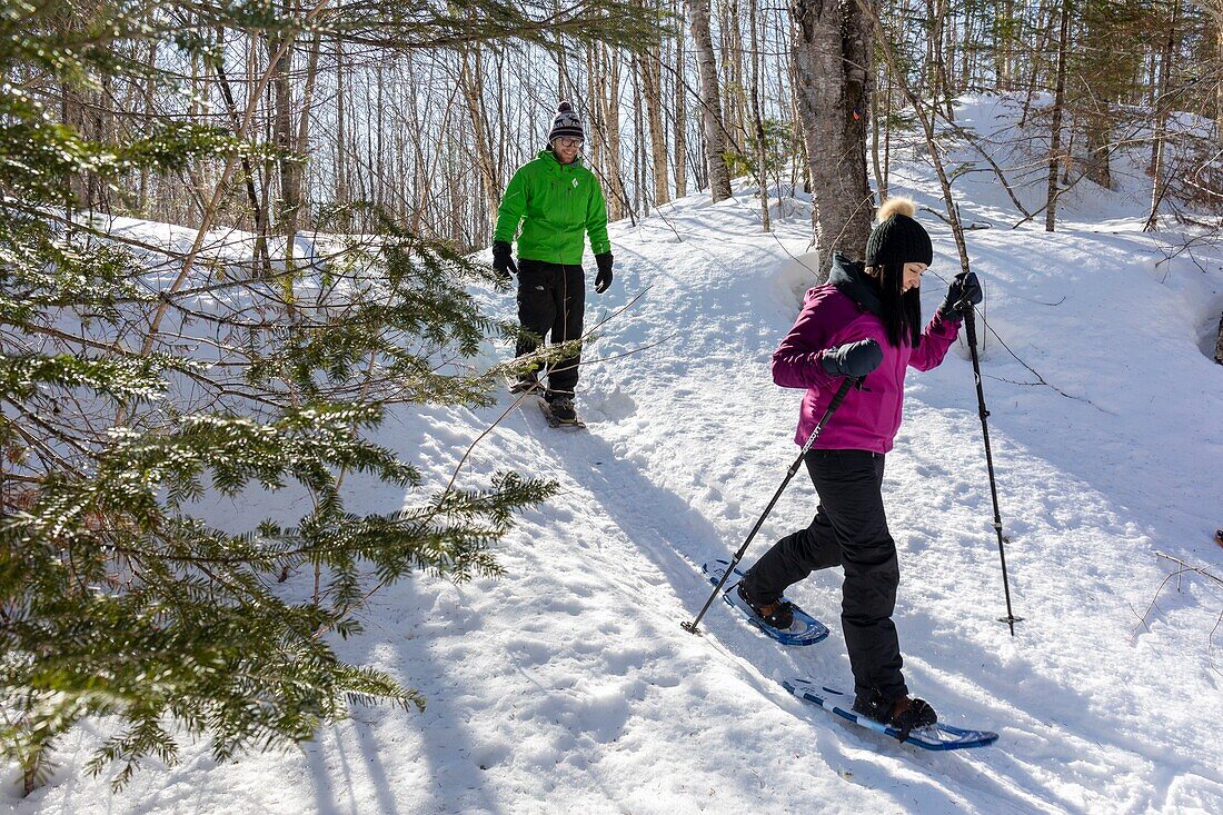 Canada, Quebec province, Mauricie region, Shawinigan and surrounding area, La Mauricie National Park, snowshoeing MR OK