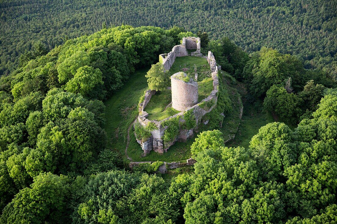 Frankreich, Bas Rhin, Neubois, Burg Frankenbourg (Luftbild)