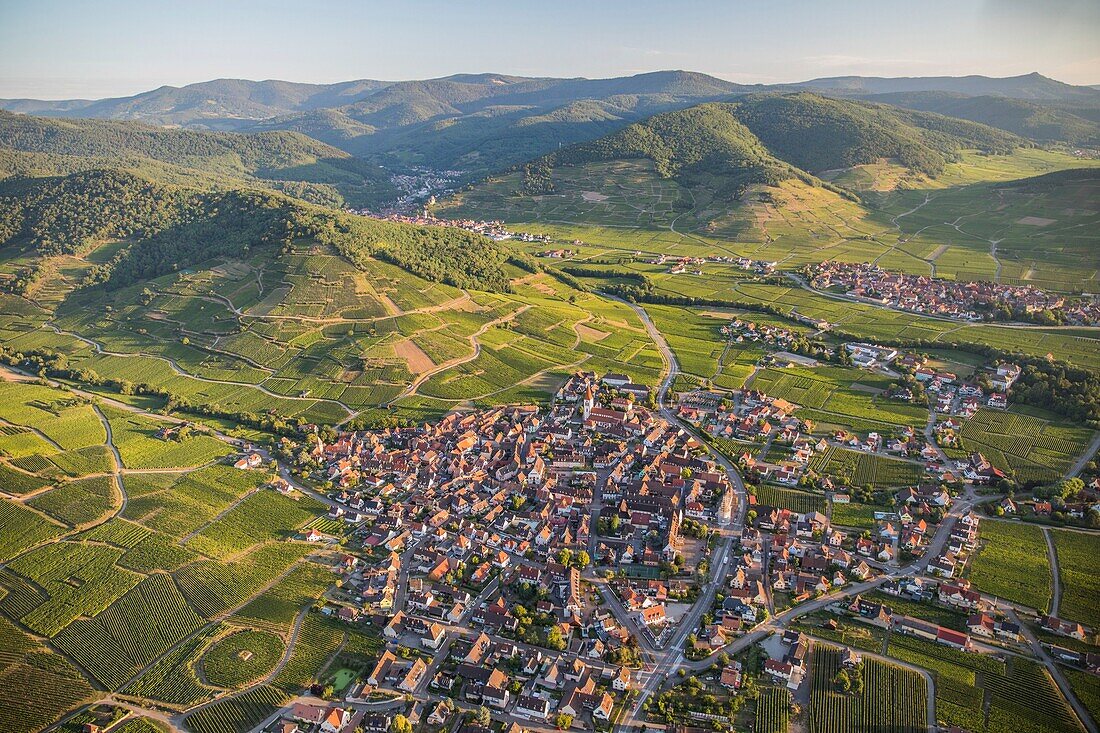 France, Haut Rhin, Alsace wine road, Ammerschwihr (aerial view)