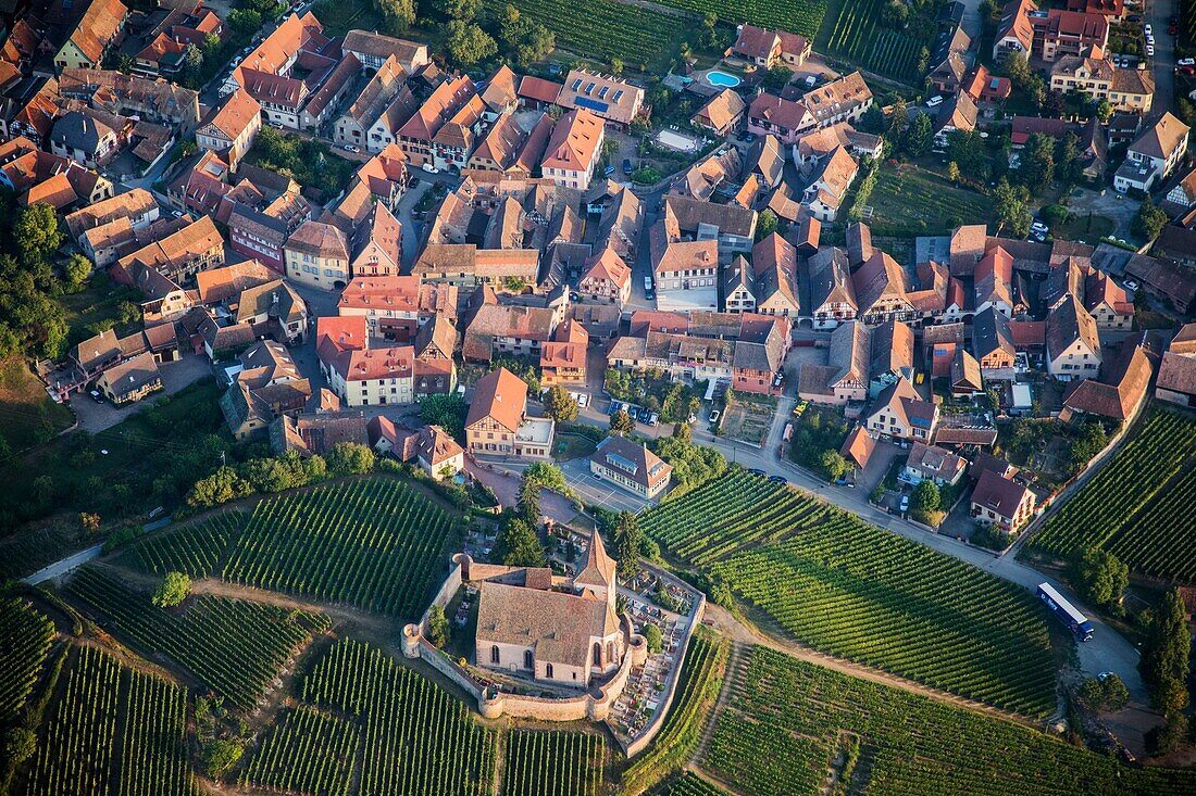 Frankreich, Haut Rhin, Elsässer Weinstraße, Hunawihr, Dorf mit der Aufschrift Les Plus Beaux Villages de France (Die schönsten Dörfer Frankreichs), Wehrkirche (Luftaufnahme)