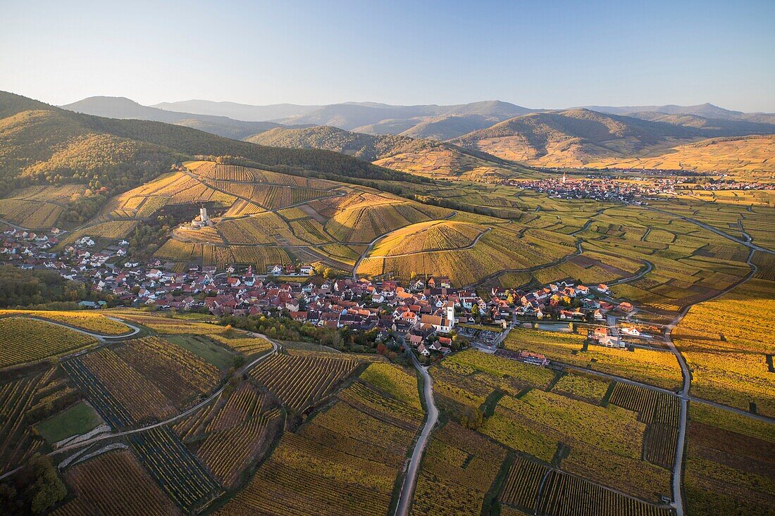 France, Haut Rhin, Alsace Wine Route, Katzenthal, Saint Nicolas church, Wineck castle, vineyard (aerial view)