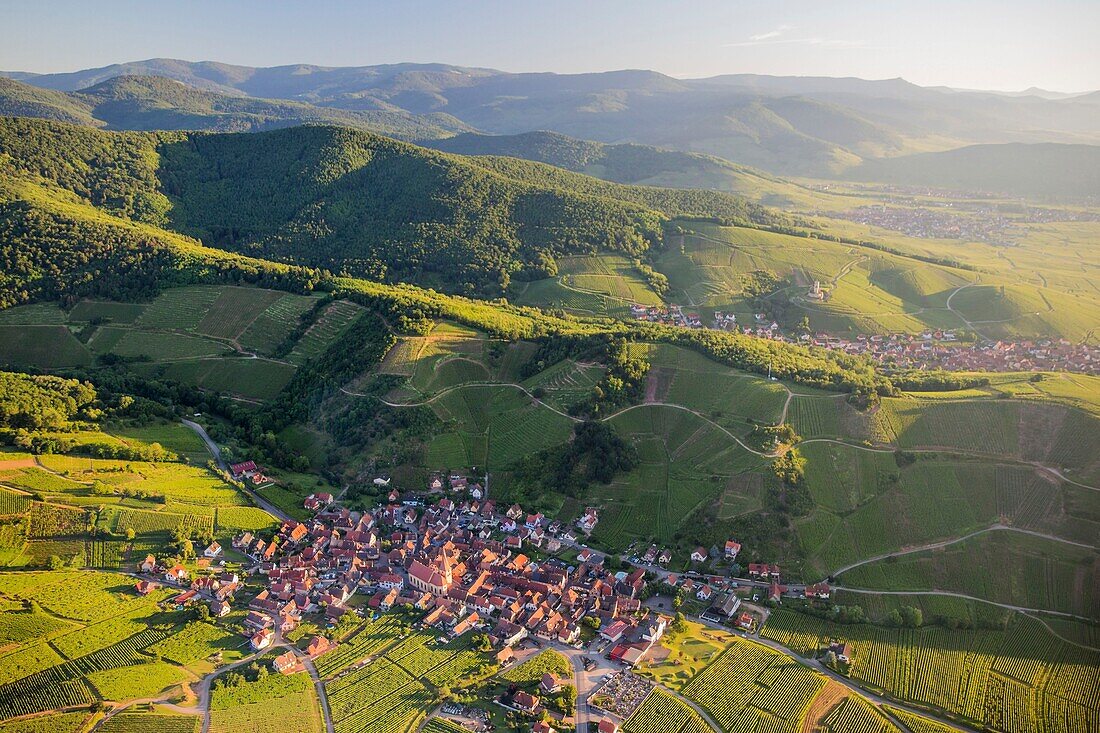 Frankreich, Haut Rhin, Elsässische Weinstraße, Katzenthal, Kirche Saint Nicolas, Burg Wineck, Weinberg (Luftaufnahme)