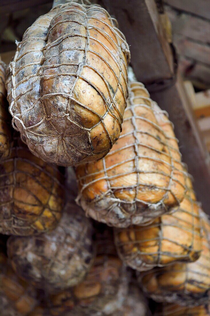 Italy, Emilia Romagna, Polesine Zibello near Parma, Antica Corte Pallavicina, culatello, traditional ham of Parma