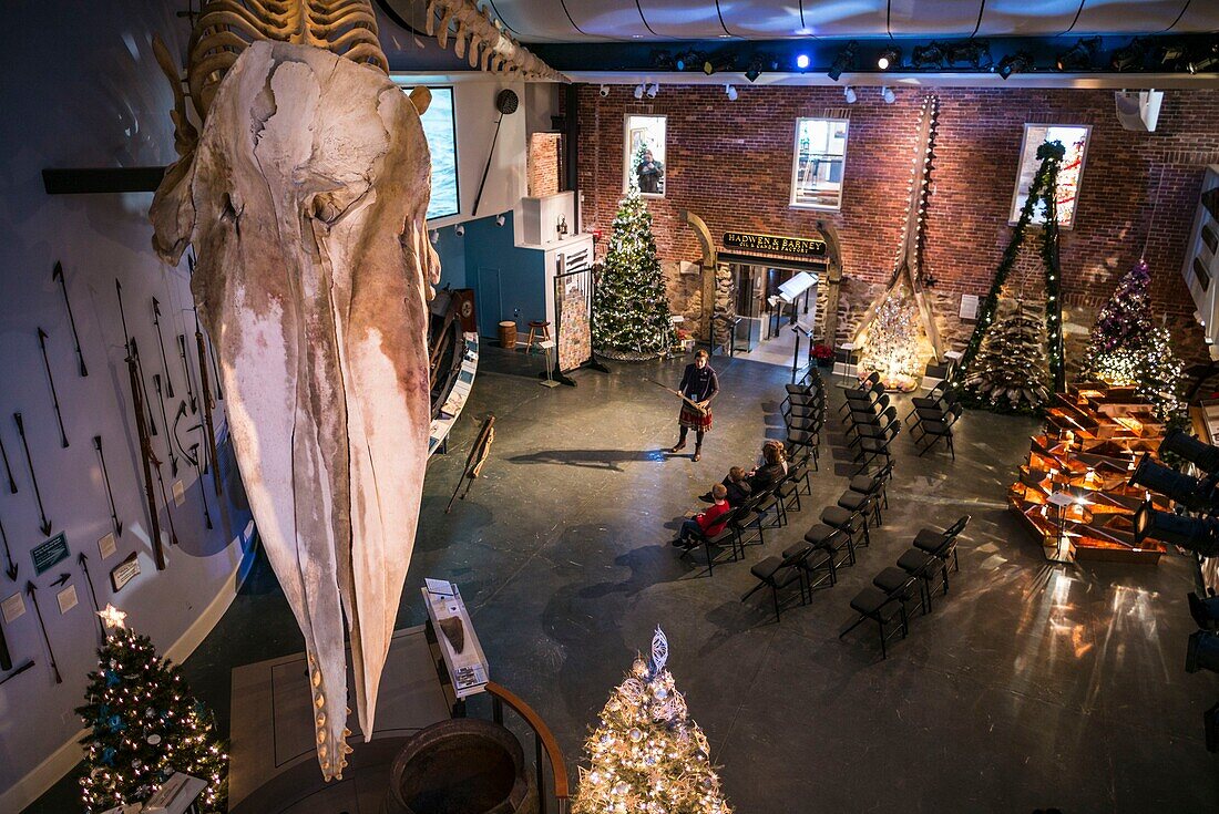 United States, New England, Massachusetts, Nantucket Island, Nantucket, Nantucket Whaling Museum, whale skeleton and whaling presentation