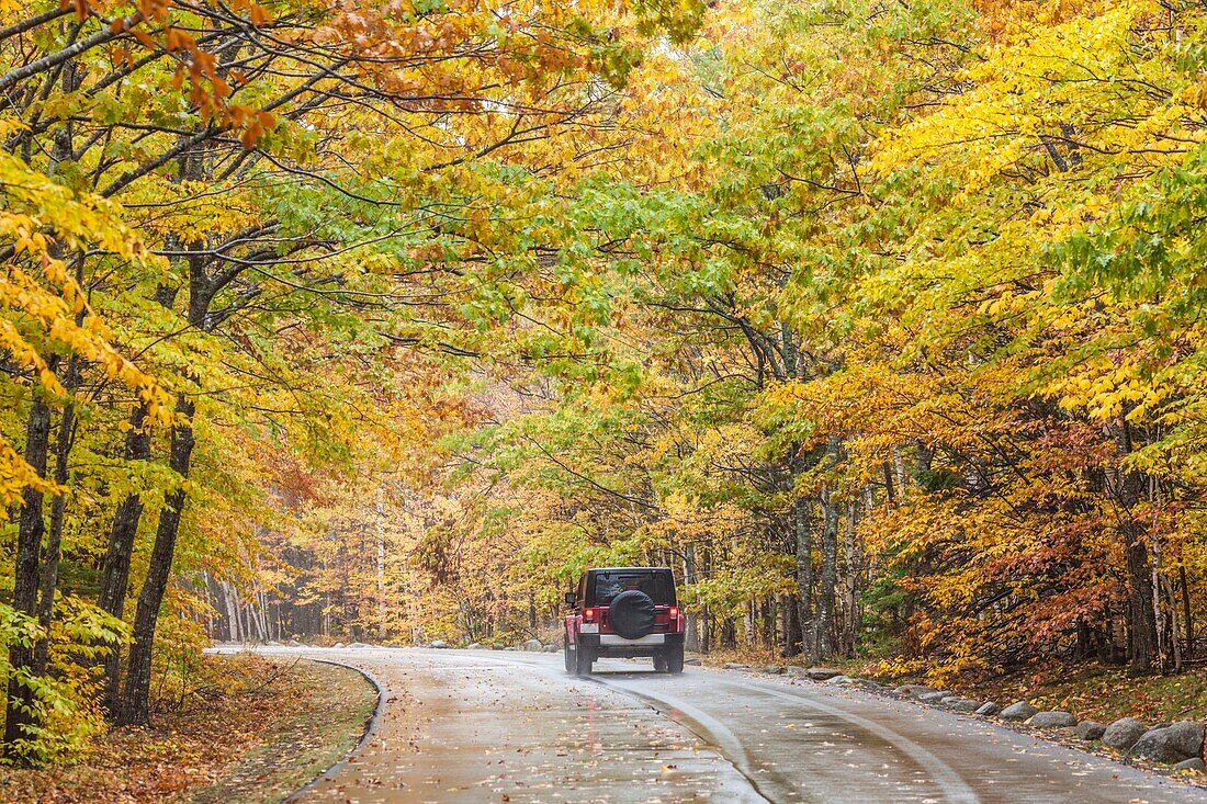 Vereinigte Staaten, Maine, Mt. Desert Island, Acadia National Park, Herbst, Parkstraße