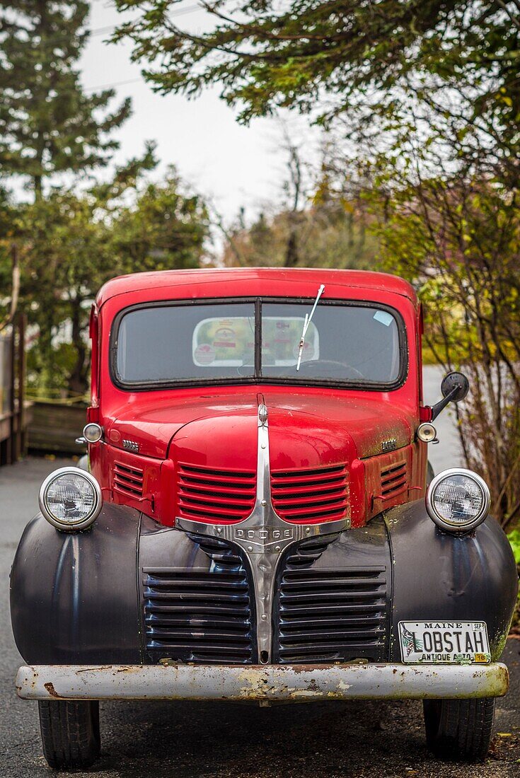 United States, Maine, Mt. Desert Island, Bernard, antique truck with lobster license plate