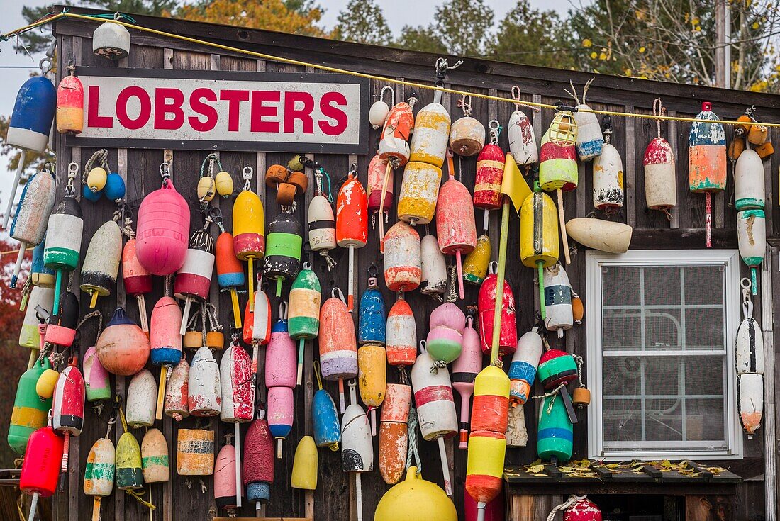 United States, Maine, Mt. Desert Island, Eden, traditional lobster shack seafood restaurant, autumn