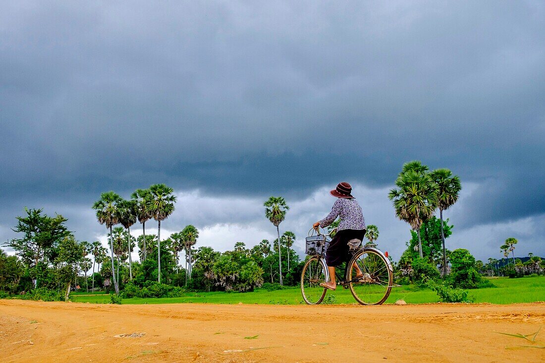 Cambodia, Kompong Chhnang or Kampong Chhnang, palm trees, bicycle