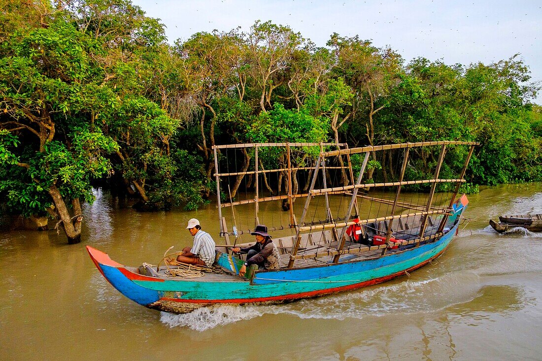 Cambodia, Kompong Phluc or Kampong Phluc, near Siem Reap, fishermen near the flooded forest on the banks of Tonlé Sap lake