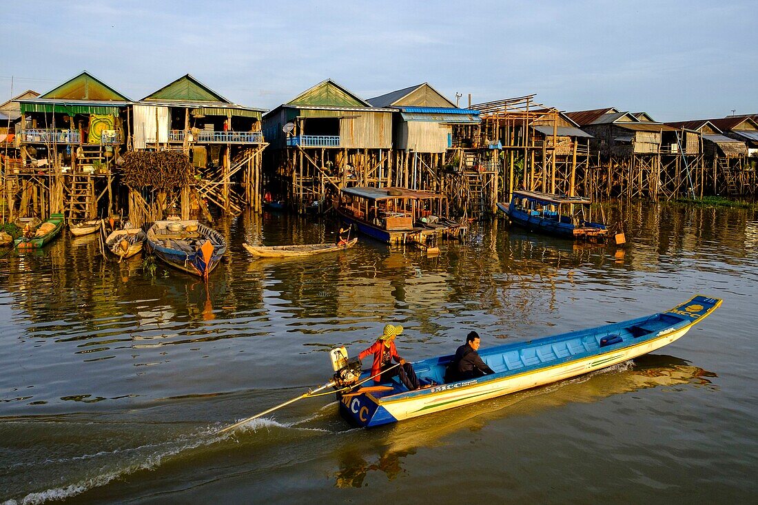 Kambodscha, Kompong Phluc oder Kampong Phluc, bei Siem Reap, Stelzendörfer, überschwemmter Wald am Ufer des Tonlé-Sap-Sees