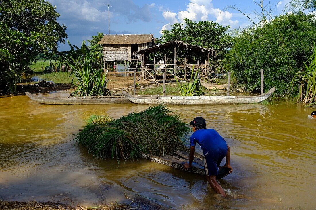 Cambodia, Kompong Thom province, Kompong Thom or Kampong Thom, flooded village at monsoon time