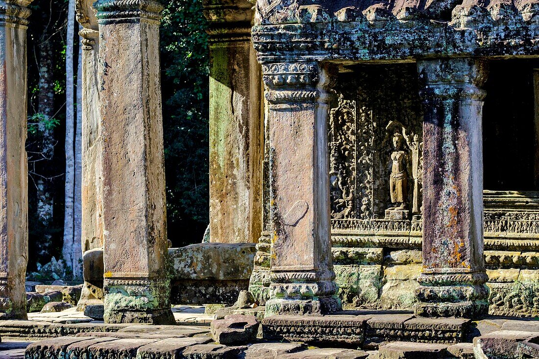 Cambodia, Angkor on World Heritage list of UNESCO, Preah Khan of Angkor, built in 1191 by King Jayavarman VII, Apsara statue