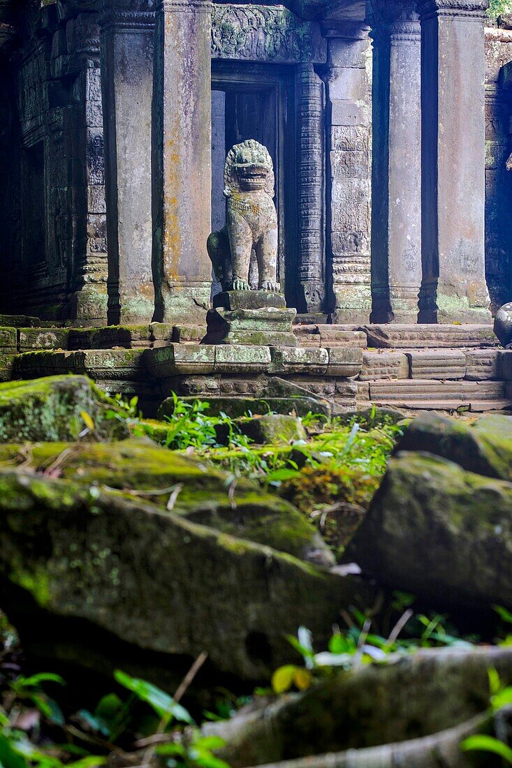 Cambodia, Angkor on World Heritage list of UNESCO, Preah Khan of Angkor, built in 1191 by King Jayavarman VII