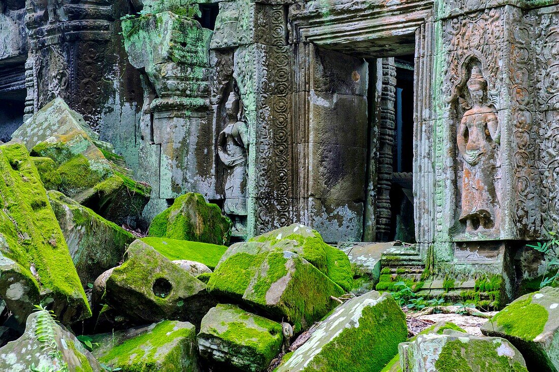 Cambodia, Angkor on World Heritage list of UNESCO, Ta Prohm temple, built in 12 th. century, by King Jayavarman VII