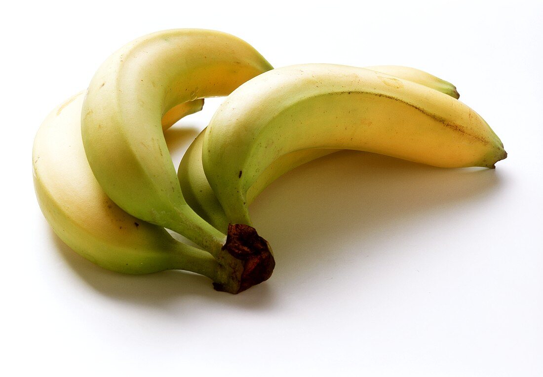Kleine Bananenstaude (vier Bananen)