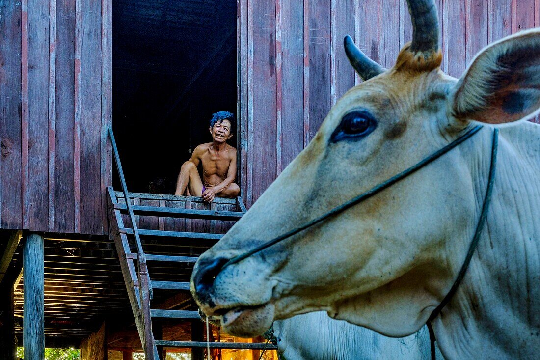 Cambodia, Kompong Thom province, Kompong Thom or Kampong Thom, man at his home's door