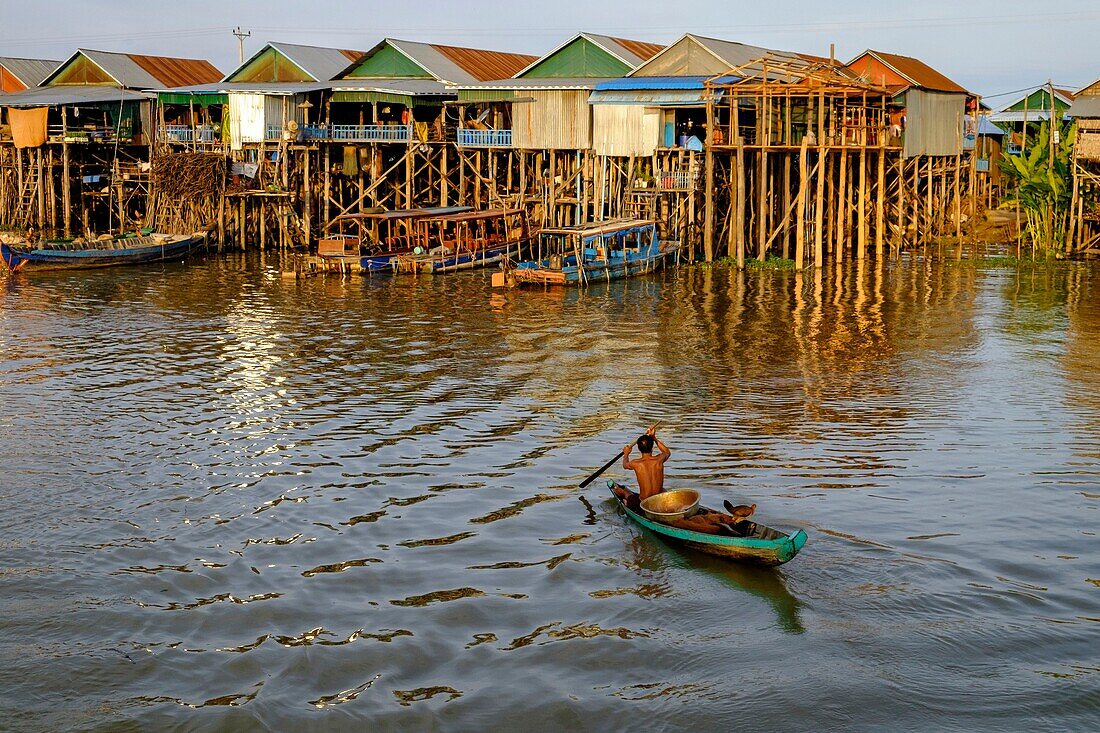 Cambodia, Kompong Phluc or Kampong Phluc, near Siem Reap, stilt house village, flooded forest on the banks of Tonlé Sap lake