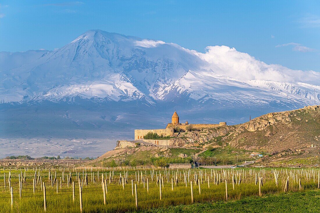 Armenia, Ararat region, Khor Virap monastery and Mount Ararat