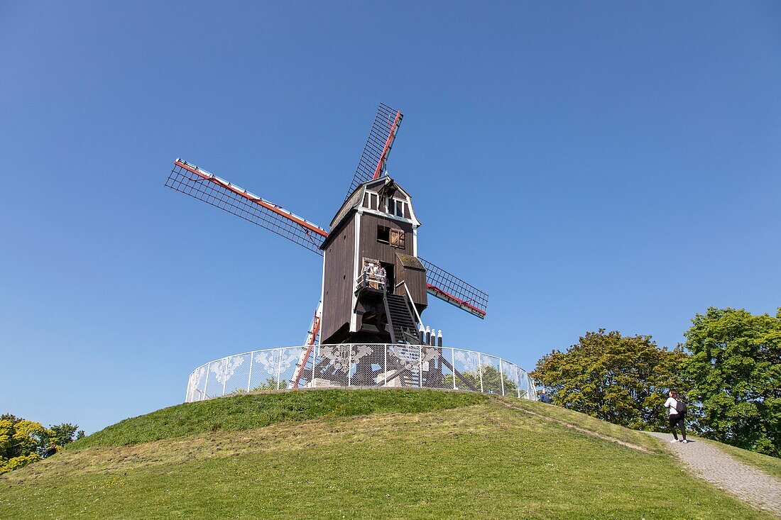 Belgien, Westflandern, Brügge, Saint-Jean Holzmühle mit Drehkörper aus dem Jahr 1770, für Besucher geöffnet