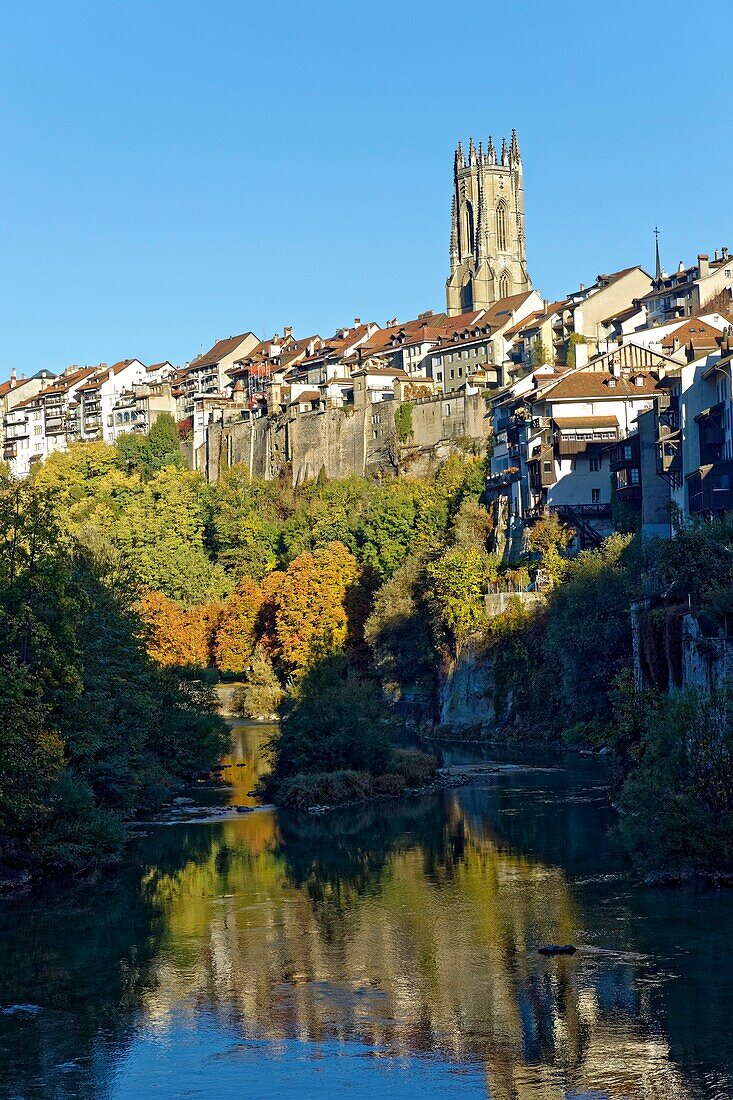 Schweiz, Kanton Freiburg, Freiburg, Ufer der Saane, Blick von der Festung und der Kathedrale San Nicolas