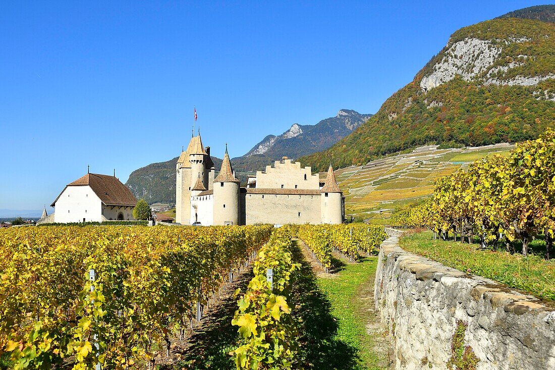 Schweiz, Kanton Waadt, Aigle, das von Weinbergen umgebene Schloss