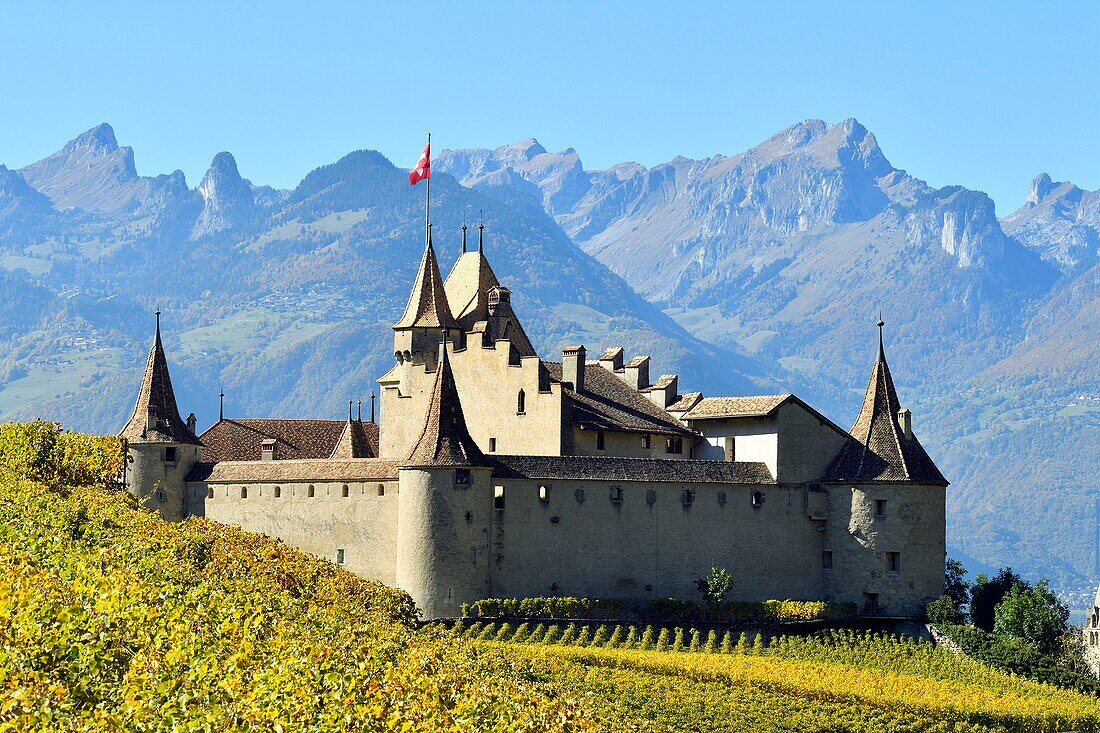 Switzerland, Canton of Vaud, Aigle, the castle surrounded by vineyards