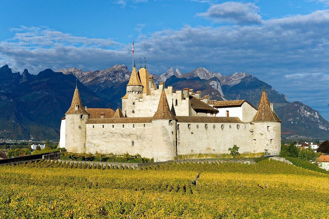 Schweiz, Kanton Waadt, Aigle, das von Weinbergen umgebene Schloss