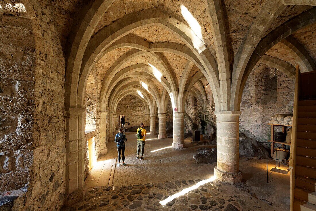 Suisse, Canton of Vaud, Lake Geneva, Veytaux, Chillon Castle at South Montreux, cellar and former prison