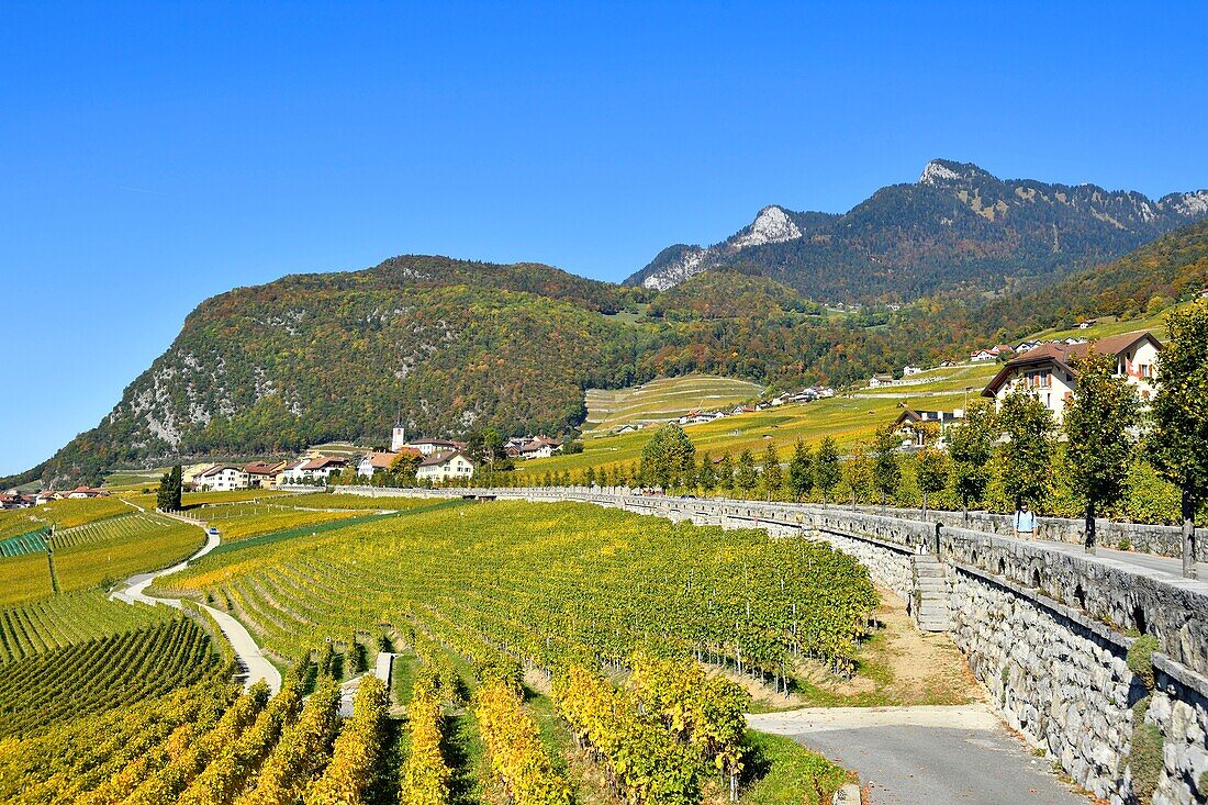 Switzerland, Canton of Vaud, Aigle, small town surrounded by vineyards