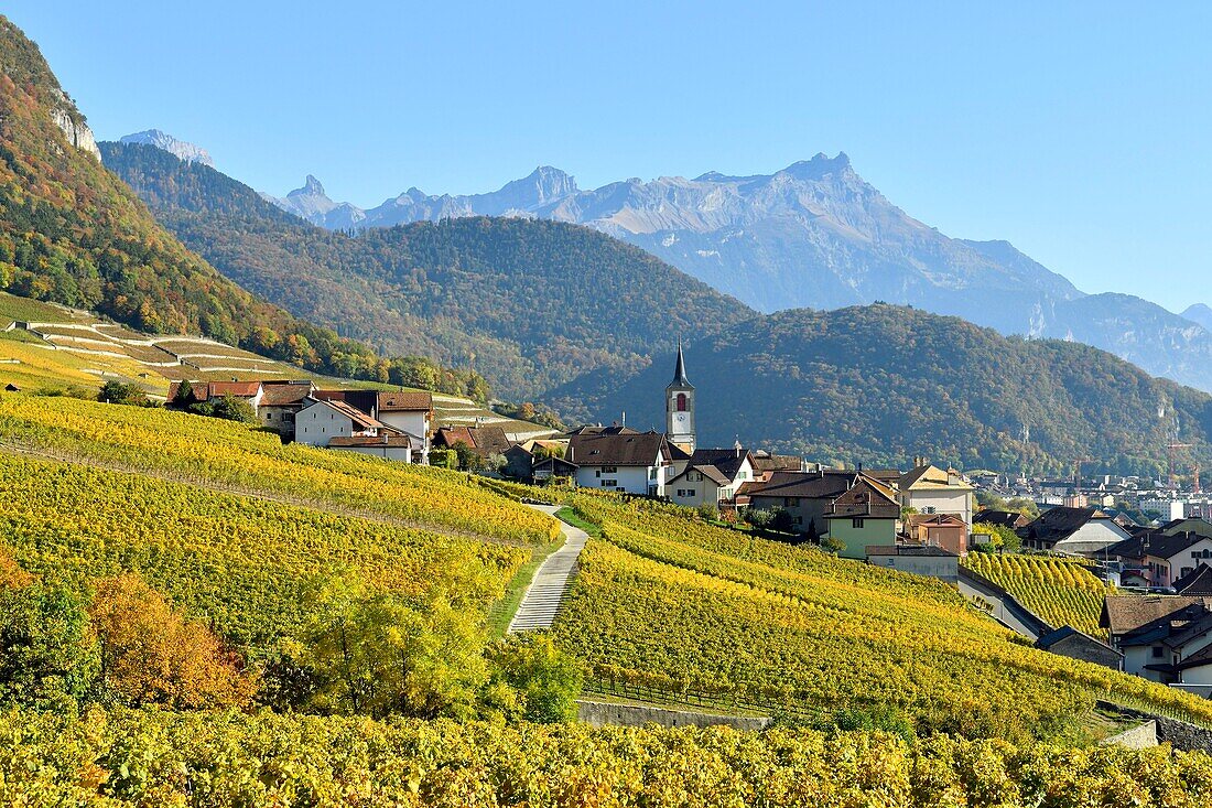 Schweiz, Kanton Waadt, Yvorne, kleines Städtchen inmitten von Weinbergen