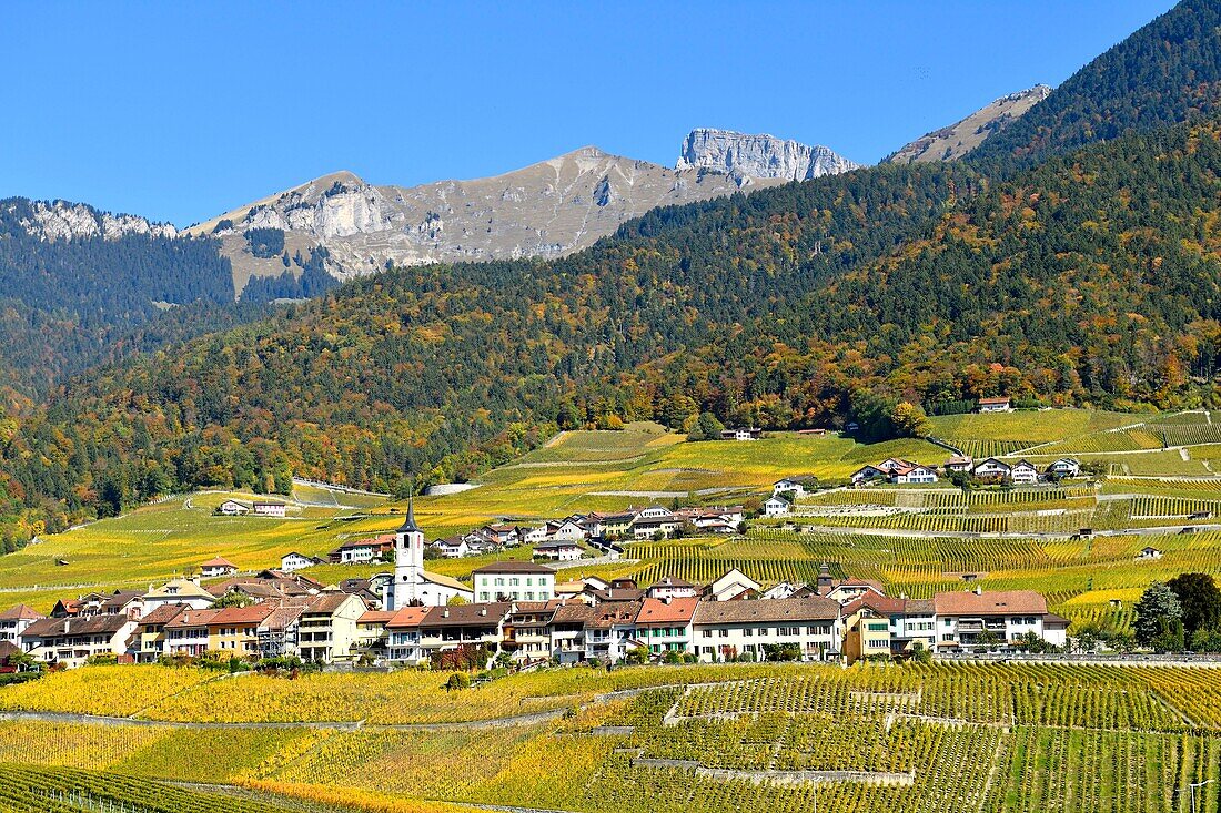 Schweiz, Kanton Waadt, Yvorne, kleines Städtchen inmitten von Weinbergen