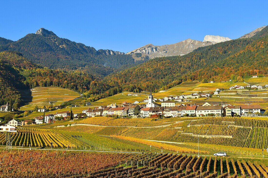 Schweiz, Kanton Waadt, Yvorne, kleines Städtchen inmitten von Weinbergen