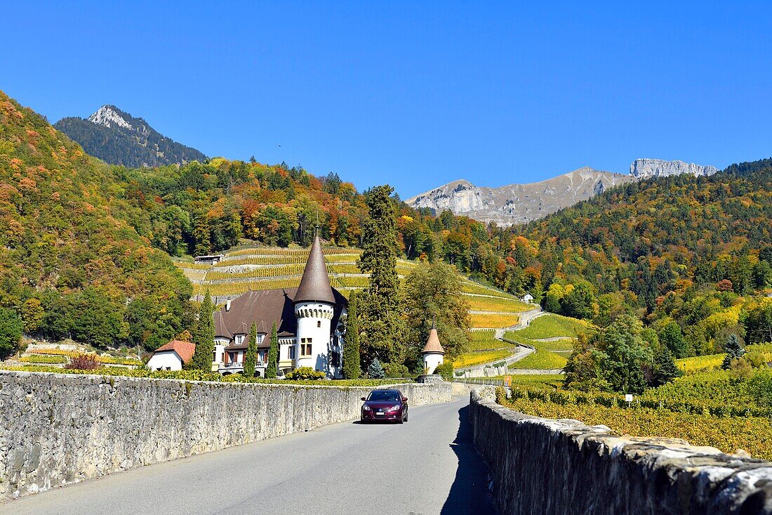 Switzerland, Canton of Vaud, Yvorne, small town surrounded by vineyards