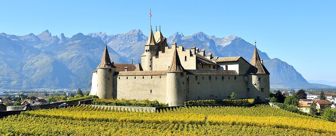 Schweiz, Kanton Waadt, Aigle, das von Weinbergen umgebene Schloss