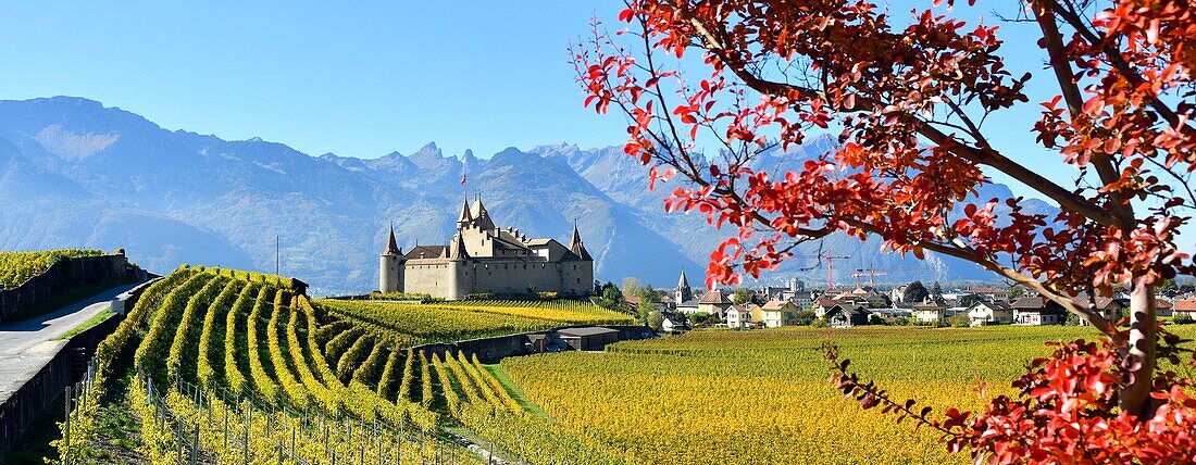 Switzerland, Canton of Vaud, Aigle, the castle surrounded by vineyards