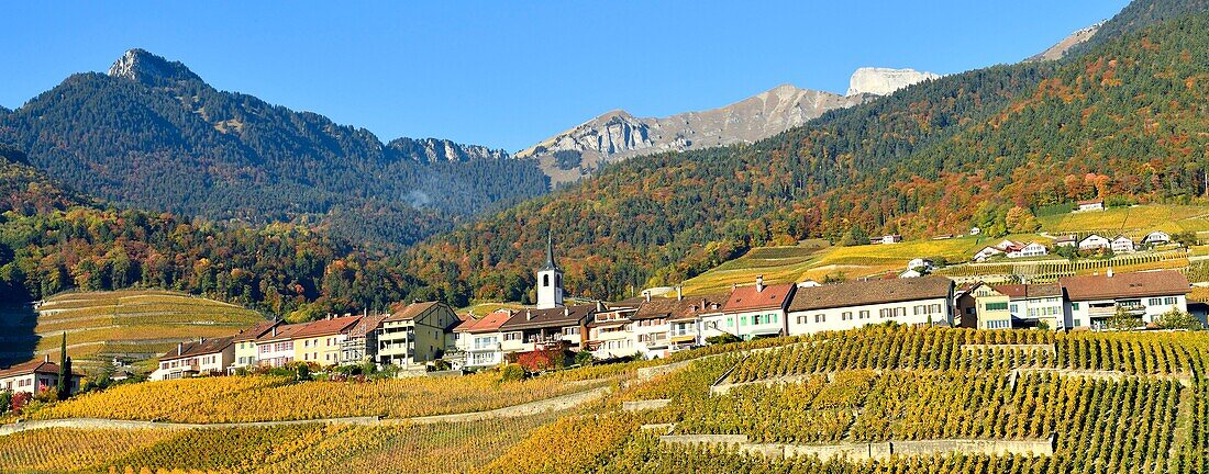 Switzerland, Canton of Vaud, Yvorne, small town surrounded by vineyards