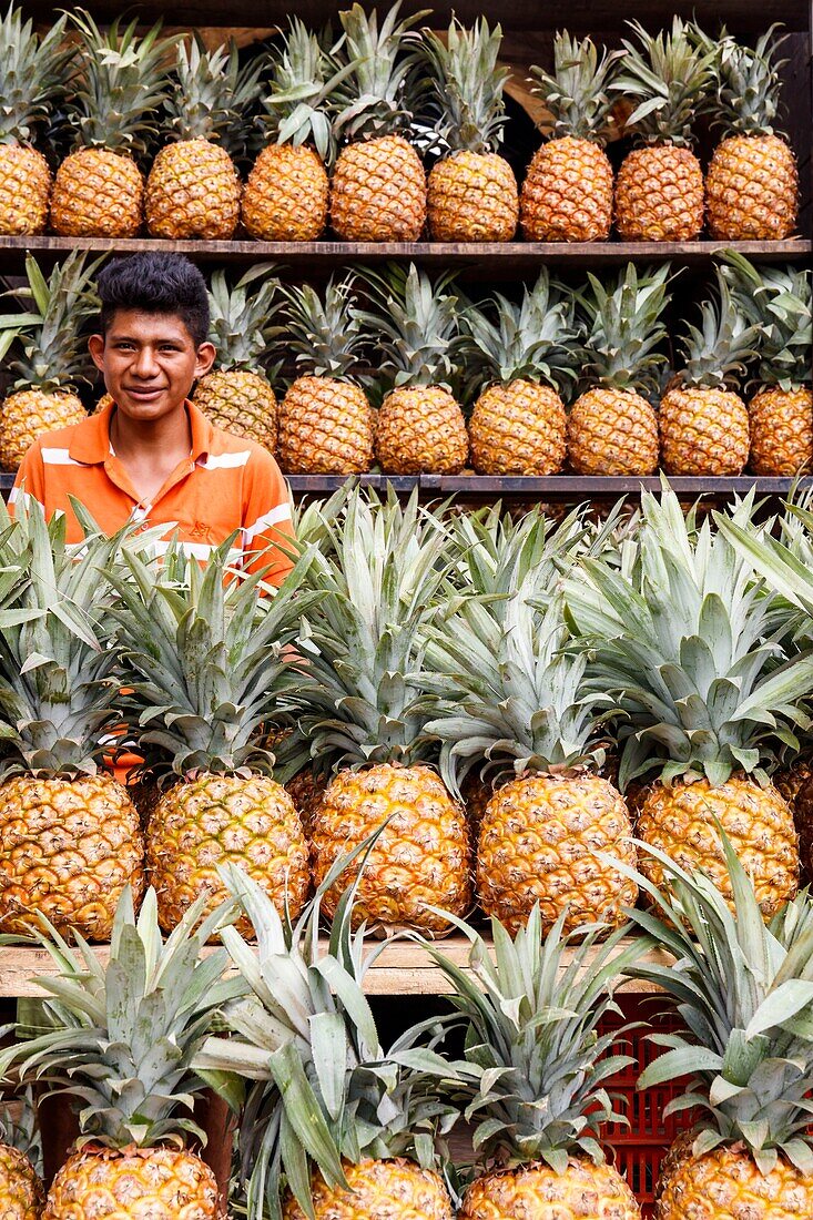 Mexico, Chiapas state, Palenque, pineapples seller