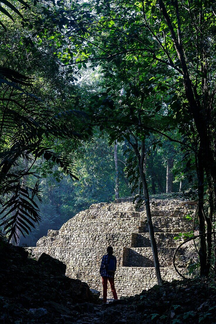 Mexico, Chiapas state, Yaxchilan, Maya archaeological site, a pyramid in the tropical forest