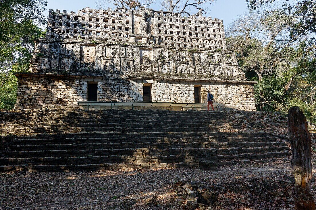 Mexico, Chiapas state, Yaxchilan, Maya archaeological site, the great acropolis