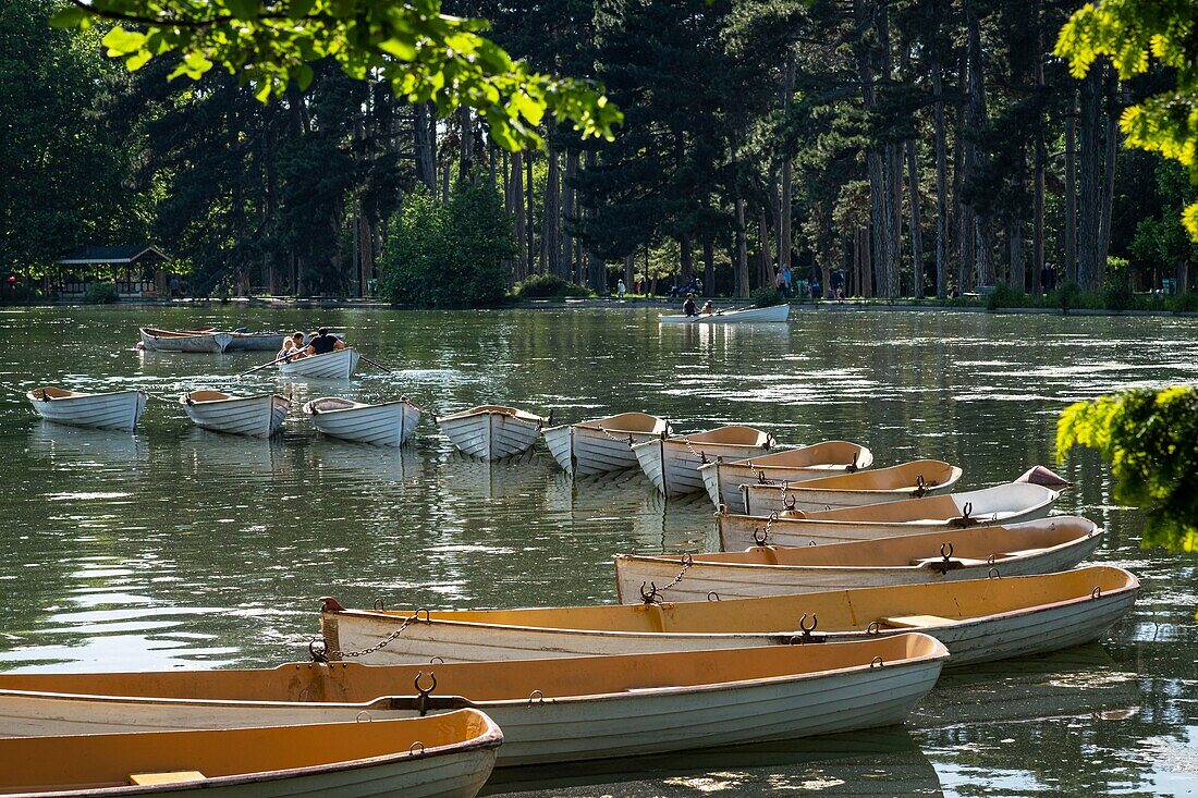 France, Paris, along the GR® Paris 2024 (or GR75), metropolitan long-distance hiking trail created in support of Paris bid for the 2024 Olympic Games, Bois de Boulogne, Inferieur lake