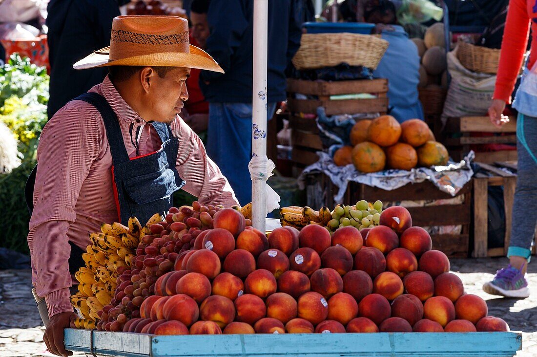 Mexico, Chiapas state, San Cristobal de las Casas, fruits seller