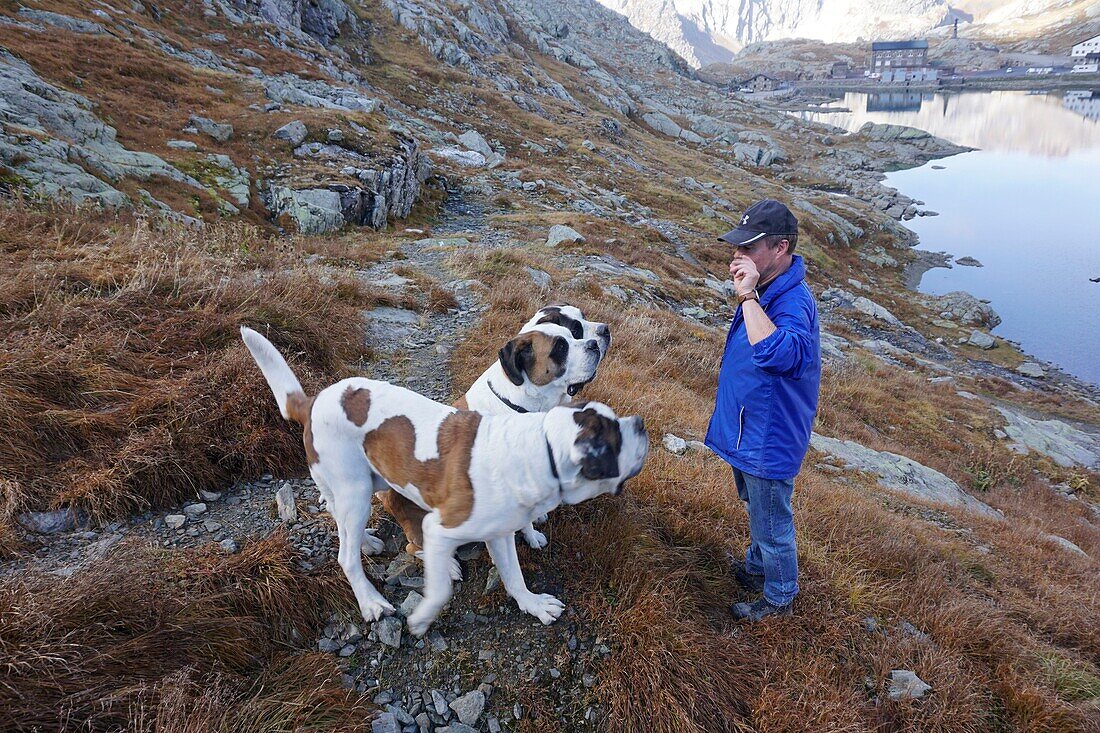 Schweiz, Kanton Wallis, Col du Grand Saint Bernard, Hospiz Großer St. Bernhard und Bernhardiner