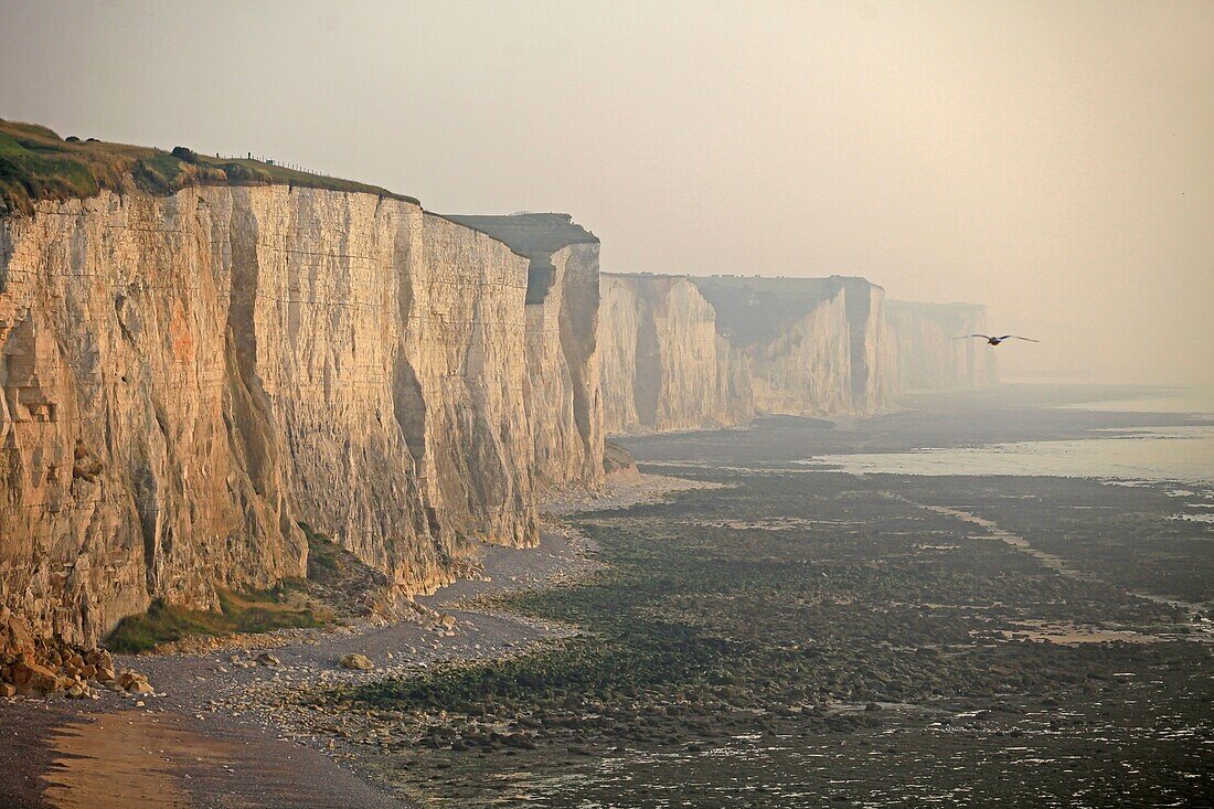 Frankreich, Somme, Ault, Steilküste im Abendnebel zwischen Ault und Mers les Bains