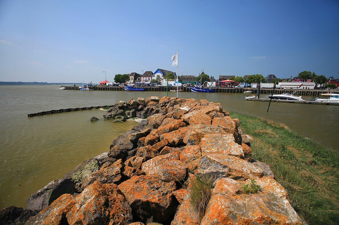 Frankreich, Somme, Le Crotoy, in der Baie de Somme