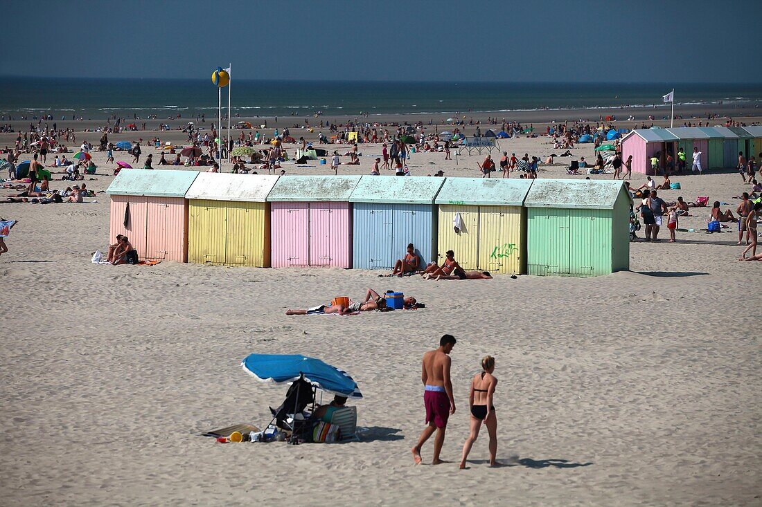 Frankreich, Pas de Calais, Berck sur Mer, Opalküste, Strand voller Bootsfahrer und Hütten am Strand von Berck sur Mer