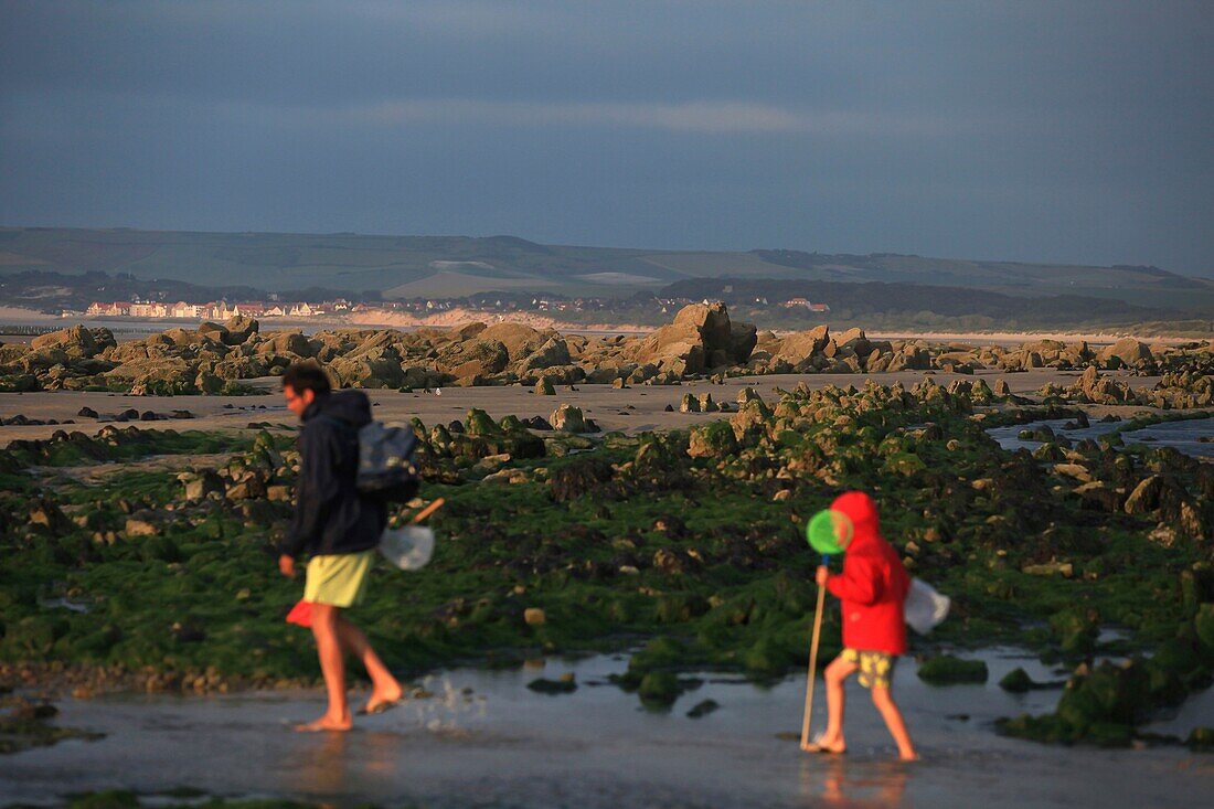 Frankreich, Pas de Calais, Audinghen, Cap Gris Nez, Framzelle Strand am Kap Gris Nez bei Ebbe