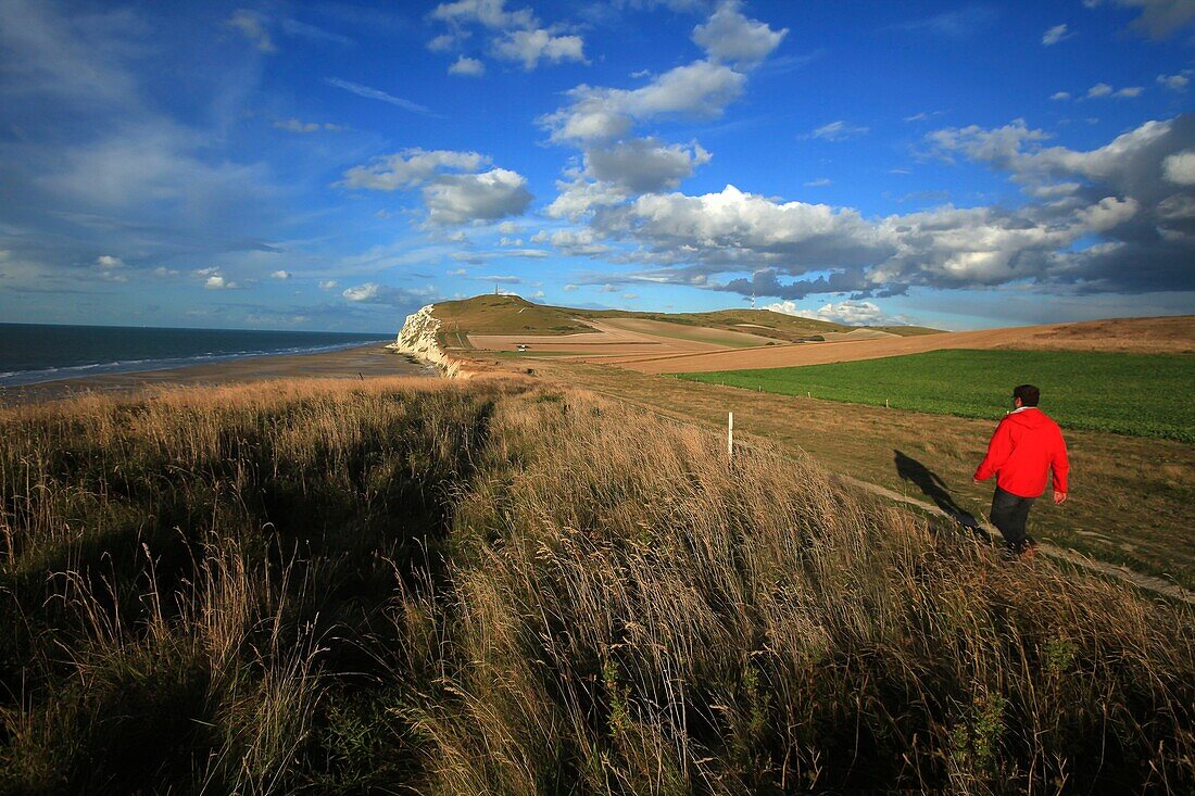 France, Pas de Calais, Escalles, Walk on the trails of Cape Blanc Nez, label Great sites of France