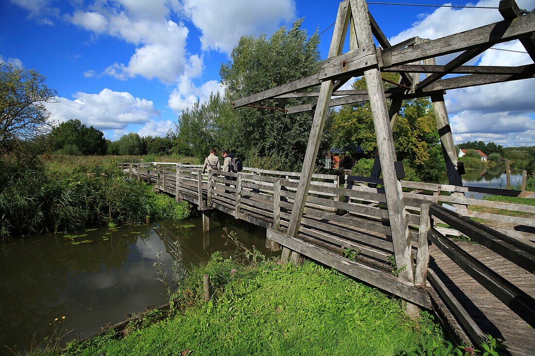 France, Pas de Calais, Saint Omer, National Nature Reserve of Romelaere Ponds