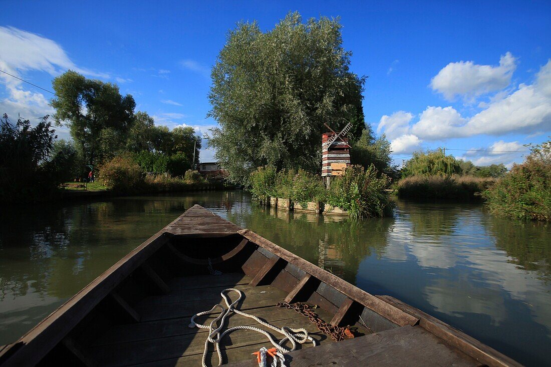 Frankreich, Pas de Calais, Saint Omer, das Marschland von Audomarois, seit 2013 von der UNESCO zum Biosphärenreservat erklärt, Bacôve-Ritt